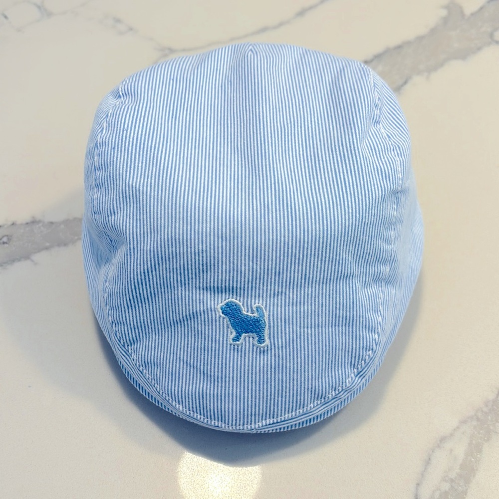 Baby boy seersucker newsboy hat 🐶